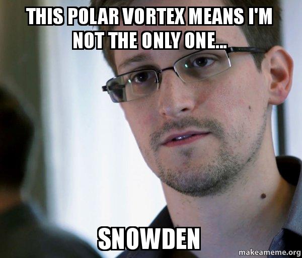 Best Polar Vortex Meme 10