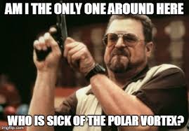 Best Polar Vortex Meme 8