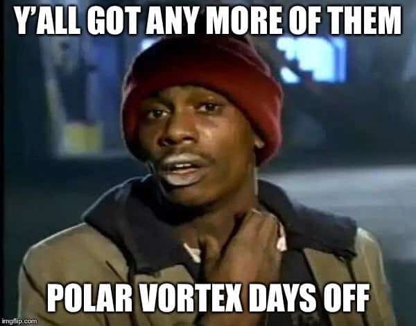 Best Polar Vortex Meme 9