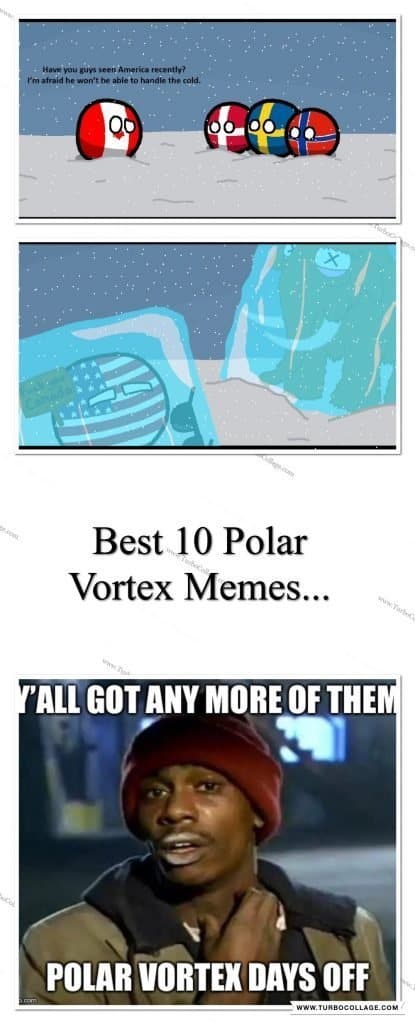 Polar Vortex Memes