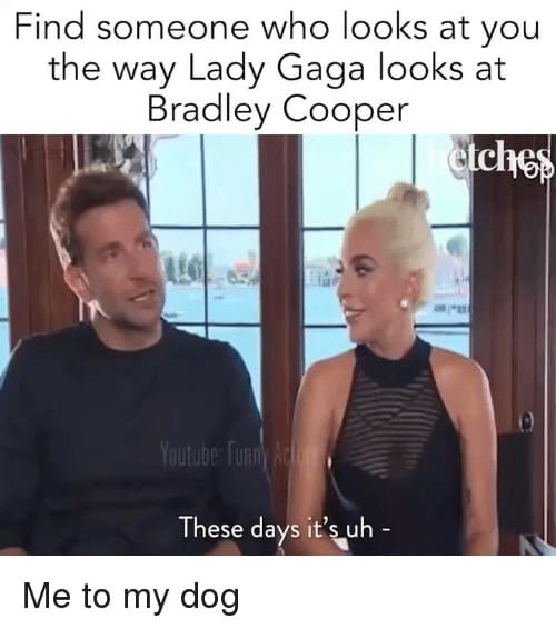 Top 20+ Lady Gaga Bradley Cooper Memes
