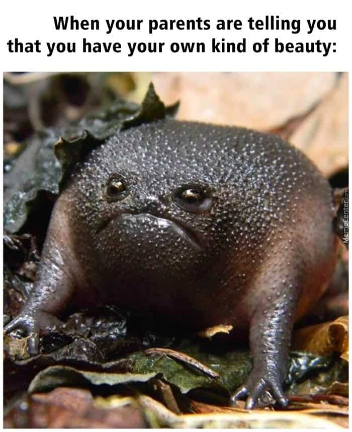 beauty relatable meme