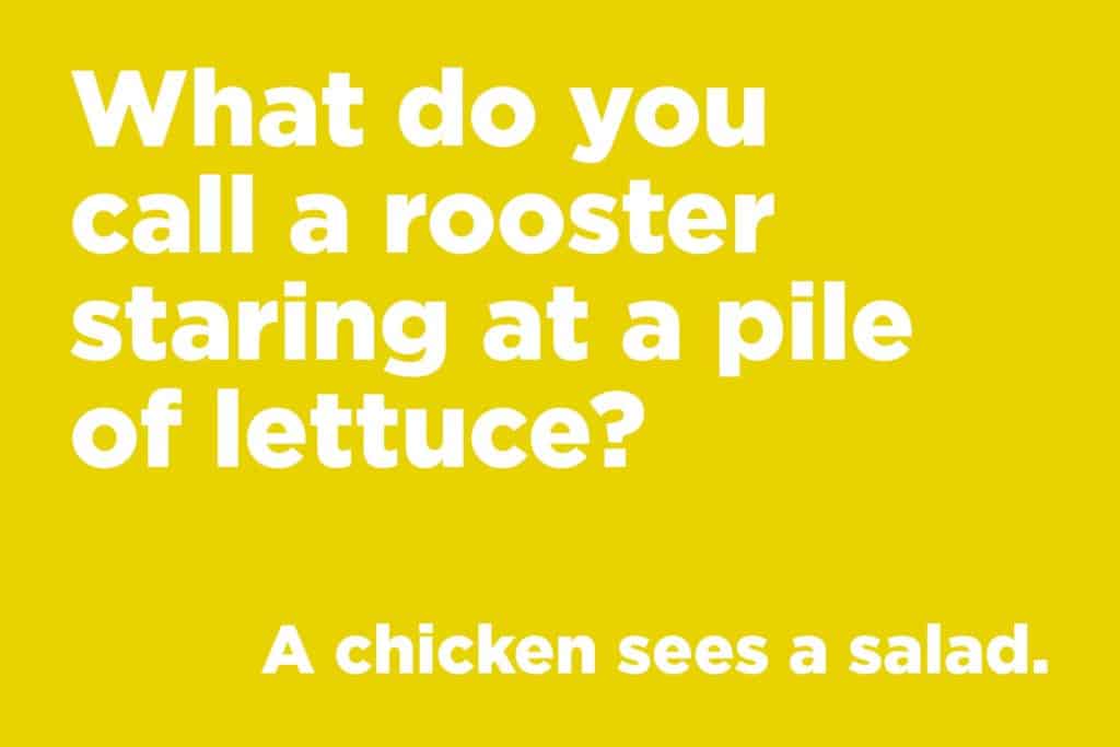 22 Clever Jokes and puns so Hilarious