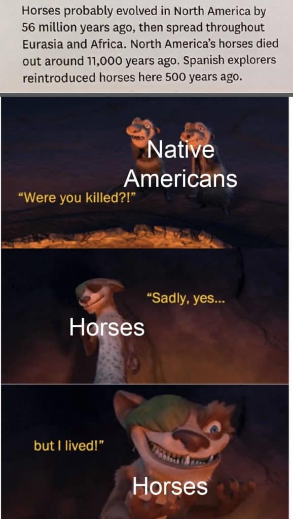 25 Funny History Memes America 14