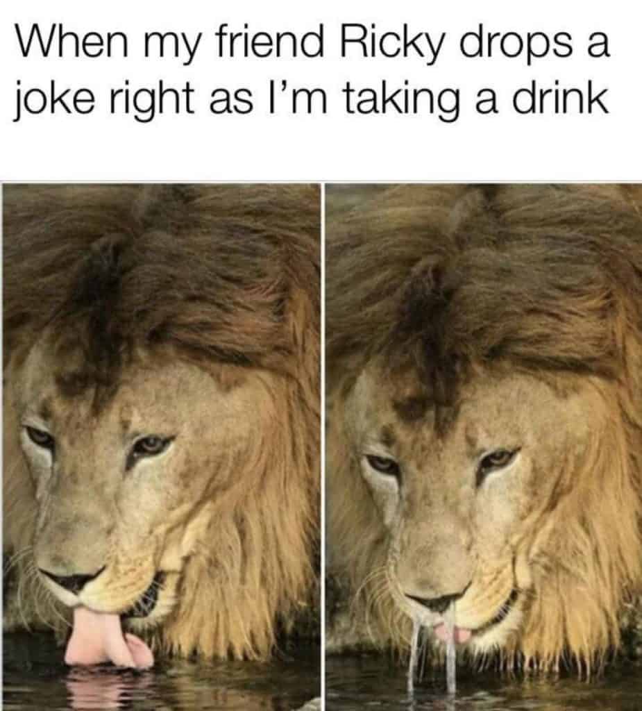 24 Hilarious Memes Drunk Laughing 5