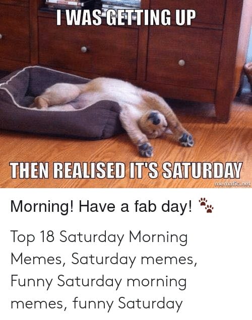 Top 50+ Funny Saturday Memes After School or Hard Work | Memes Feel