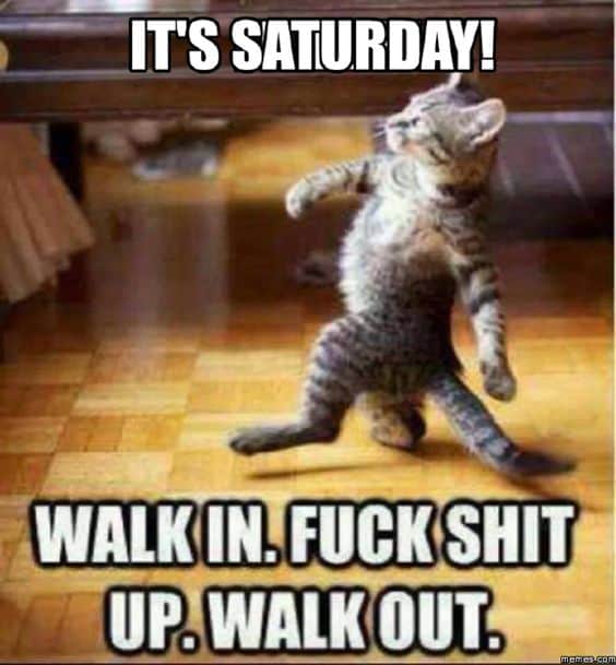 Saturday Memes Grumpy Cat Saturday Memes