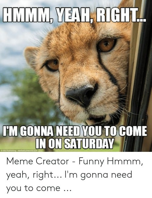 Saturday Memes hmmm yeah right itm gonna need you tocome in on 51969539