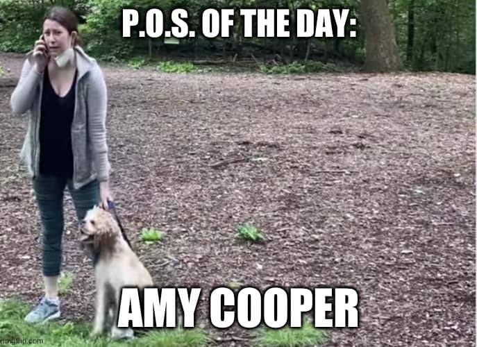 25 Amy Cooper Memes 14