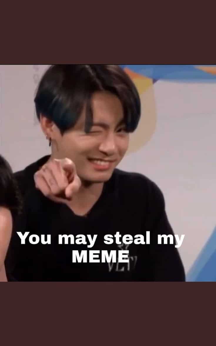 33 Meme Stealing License 28