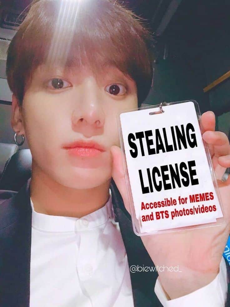 33 Meme Stealing License 6