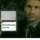 33 Meme Stealing License 9