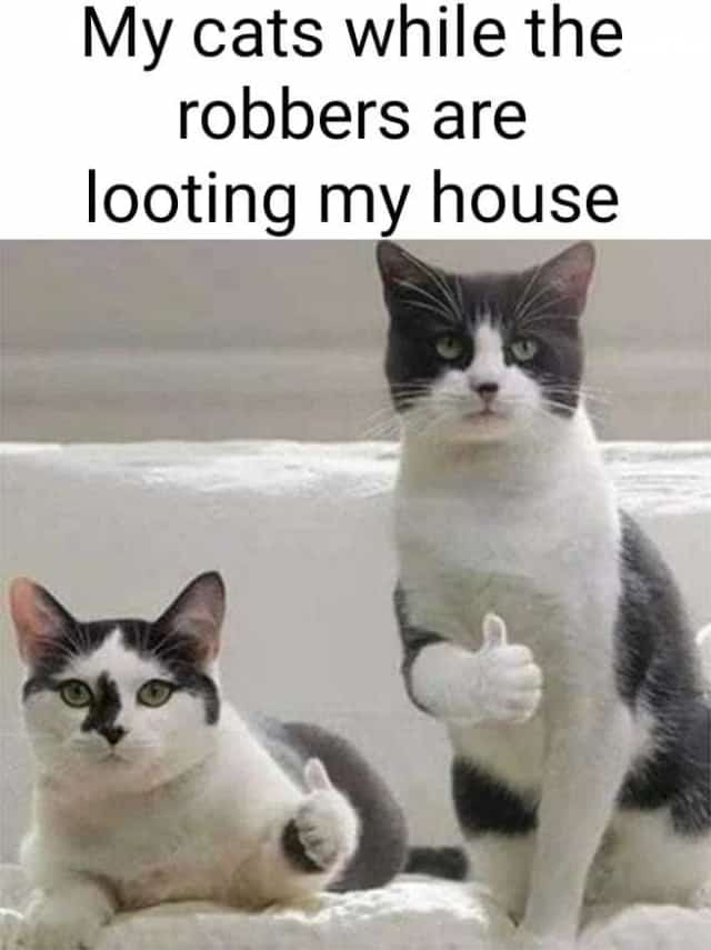 64 Looting Memes 21