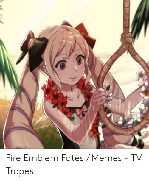26 Fire Emblem Fates Memes 8 1