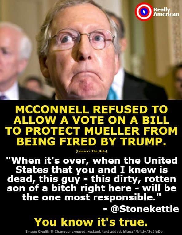 29 Mitch Mcconnell Memes 5