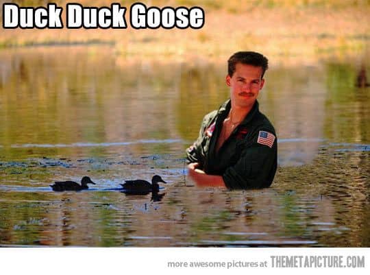 29 Smuggle Duck Duck Goose Meme  Memes Feel