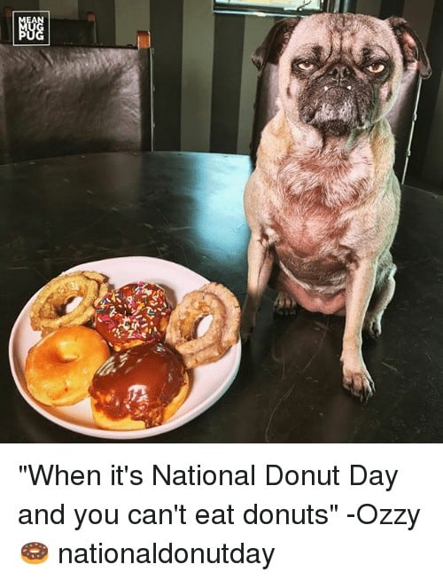 National Donut Day Memes 6 1