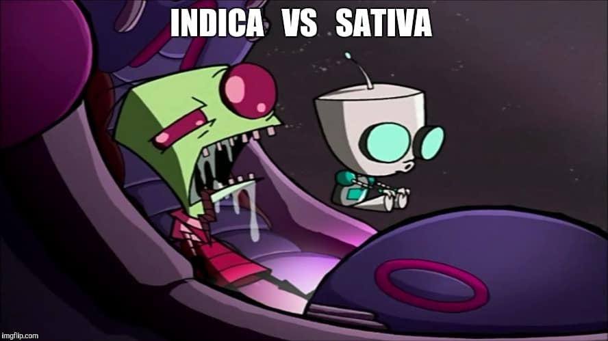 Sativa And Indica Memes 1