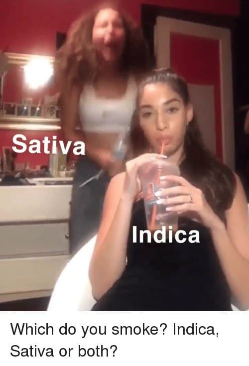 Sativa And Indica Memes 10 1