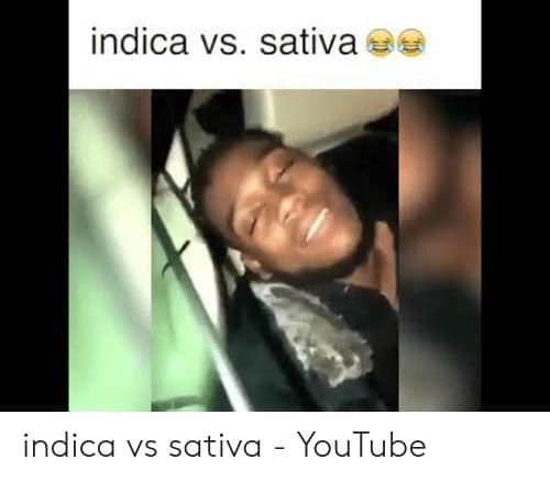 Sativa And Indica Memes 3 1