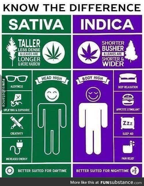 Sativa And Indica Memes 4