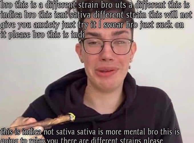 Sativa And Indica Memes 5