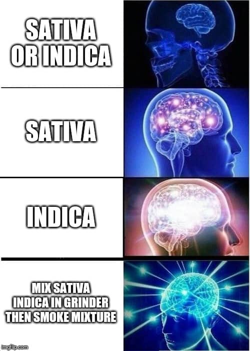 Sativa And Indica Memes 6