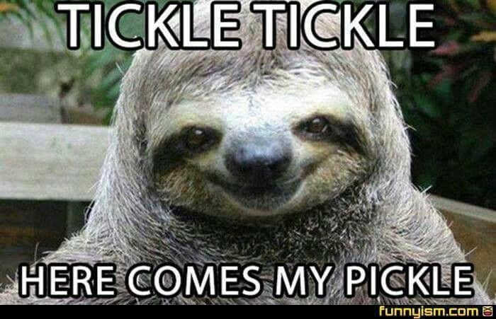 Sloth Memes 13