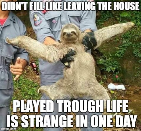 Sloth Memes 2