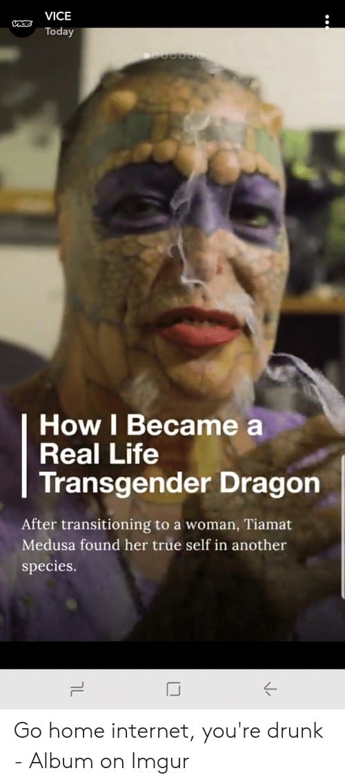 Spyro Subway Meme vice today how i became a real life transgender dragon 50741685