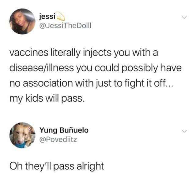 27 Old Lady Vaccine Meme 20