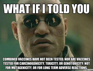 27 Old Lady Vaccine Meme 7