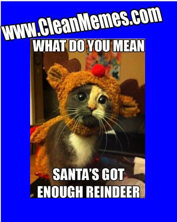 Christmass Memes Clean 23