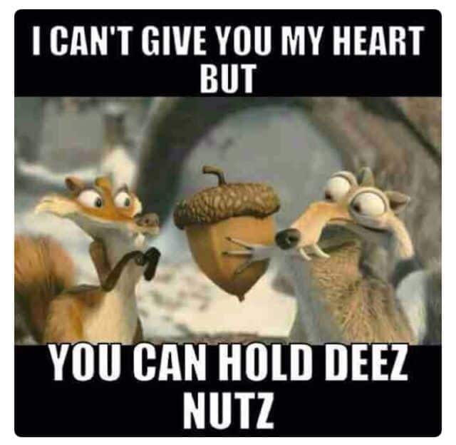Deez Nuts Memes 14