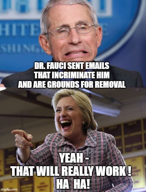 Hillary Fauci Meme 3