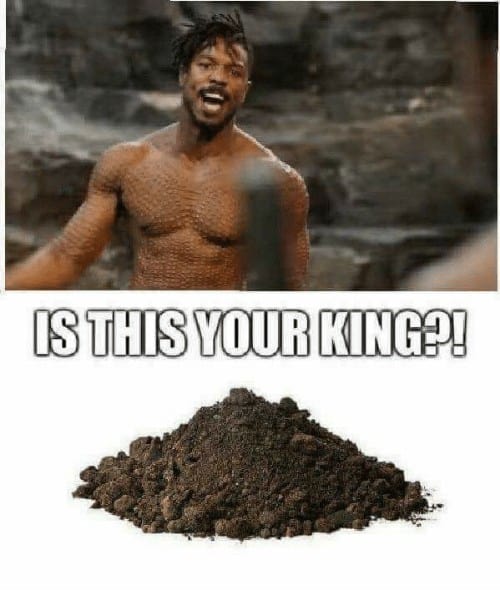 This Is Your King Meme 7 1