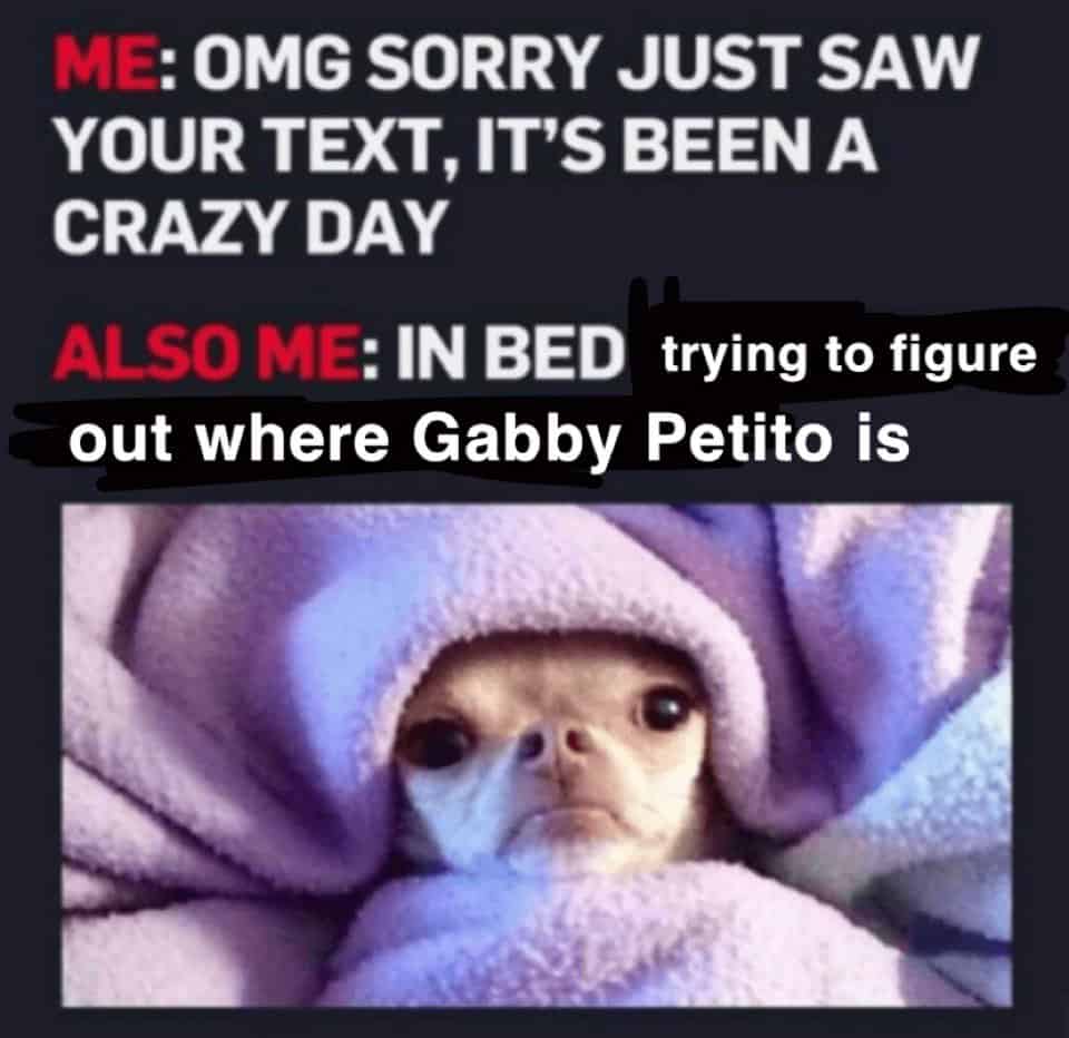 Gabby Petito Memes 12