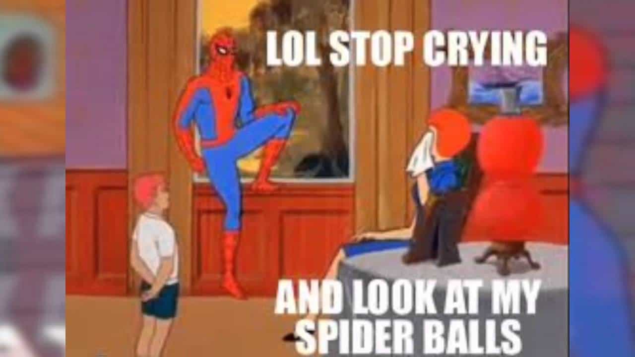 Spiderman meme 21