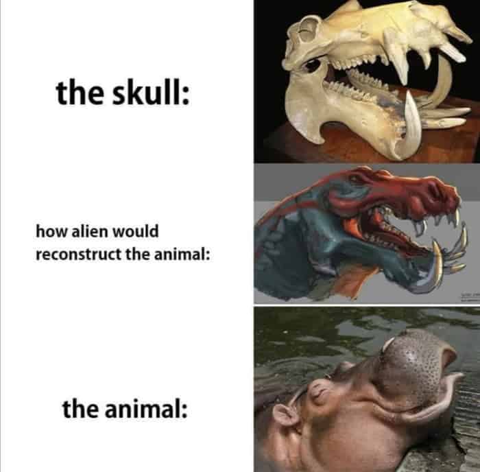 what dinosaur has 500 teeth memes 11
