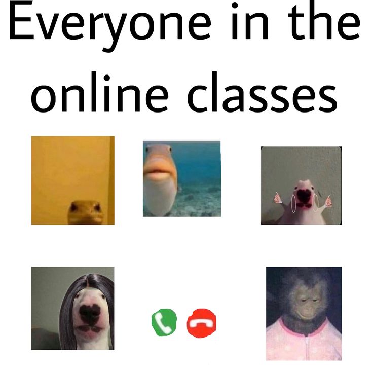 Online school memes clean