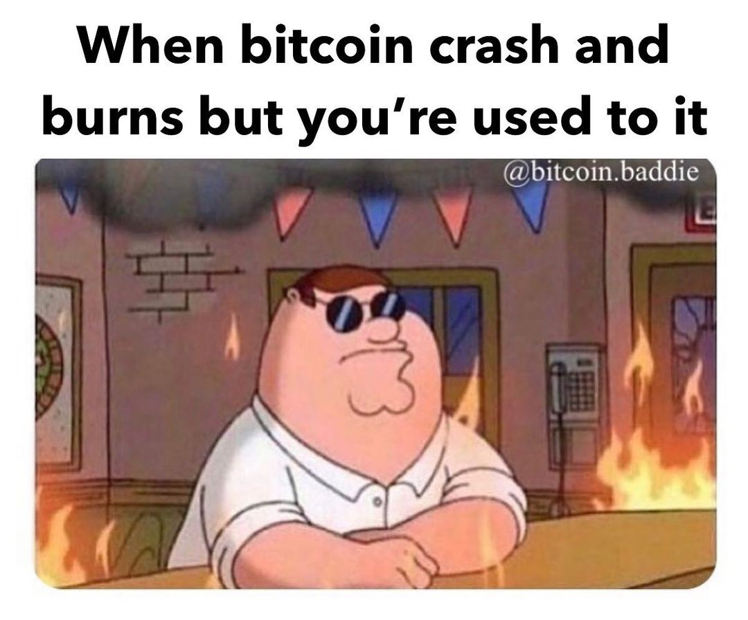 The Crypto Crash memes