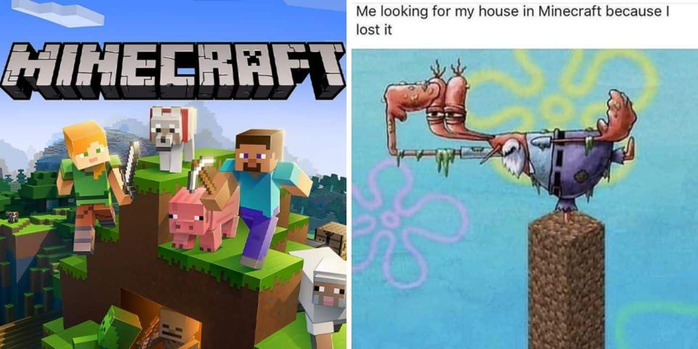 Minecraft Memes 11