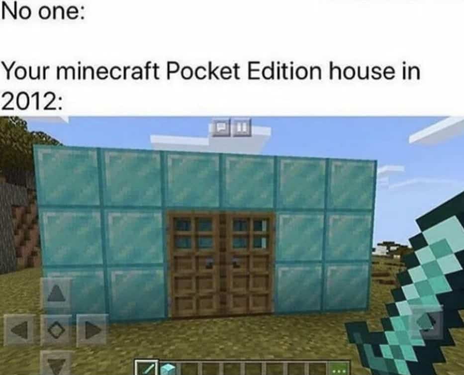 Whats in your pocket minecraft meme