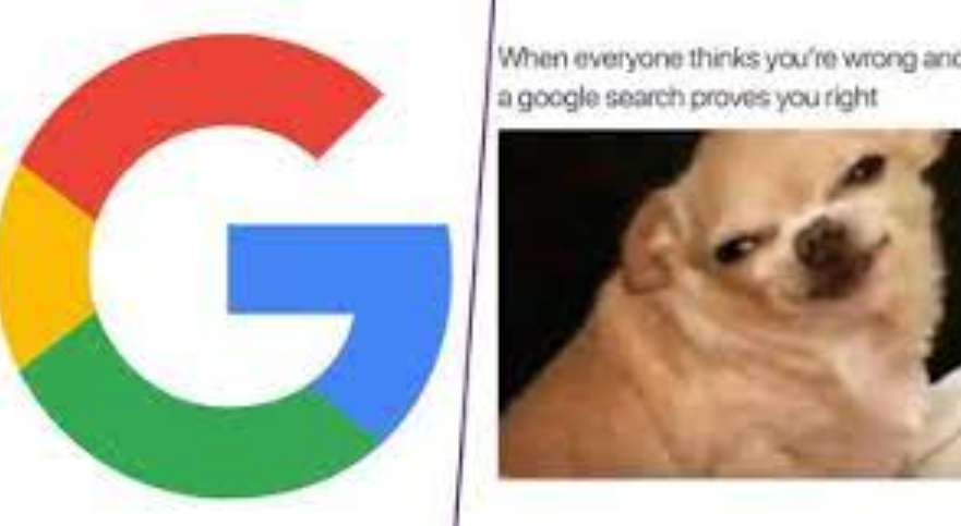 29+ Funny Search google or type a url meme10