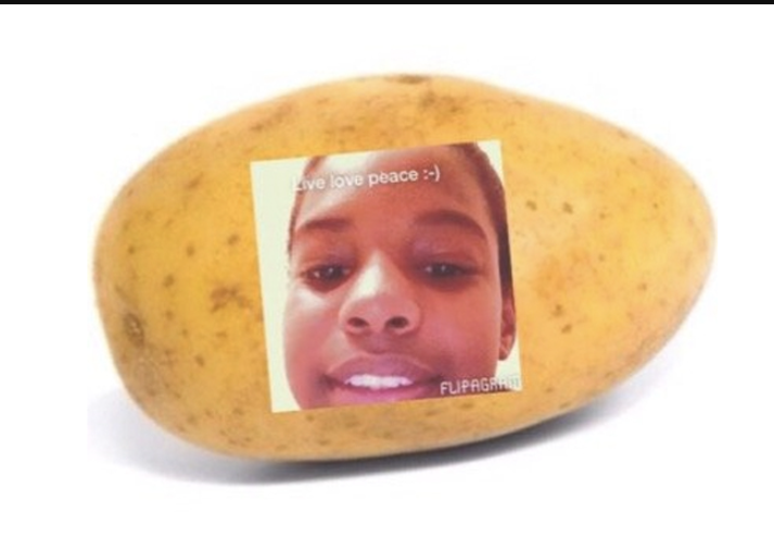 A potato flew around my room lyrics