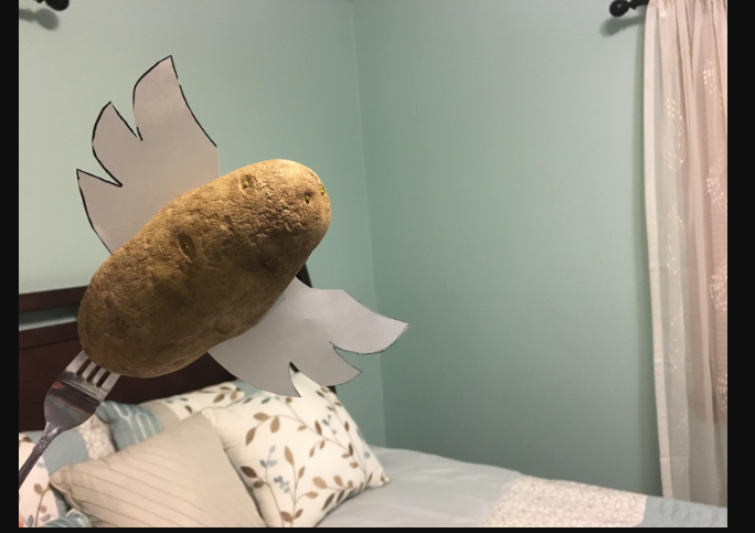 A potato flew around my room lyrics1