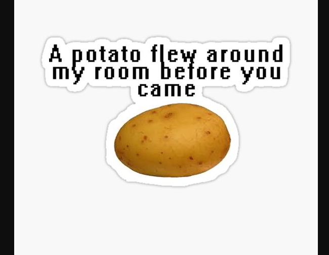 A potato flew around my room lyrics4
