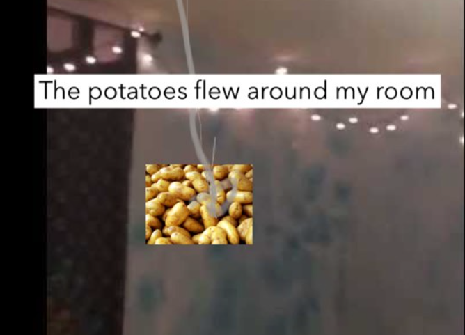 A potato flew around my room lyrics5