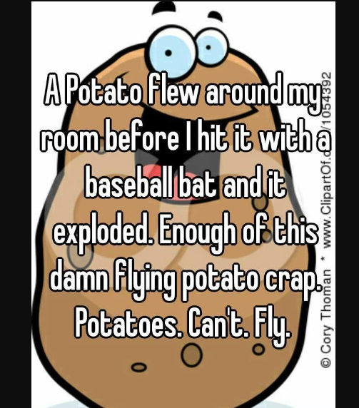 A potato flew around my room lyrics8