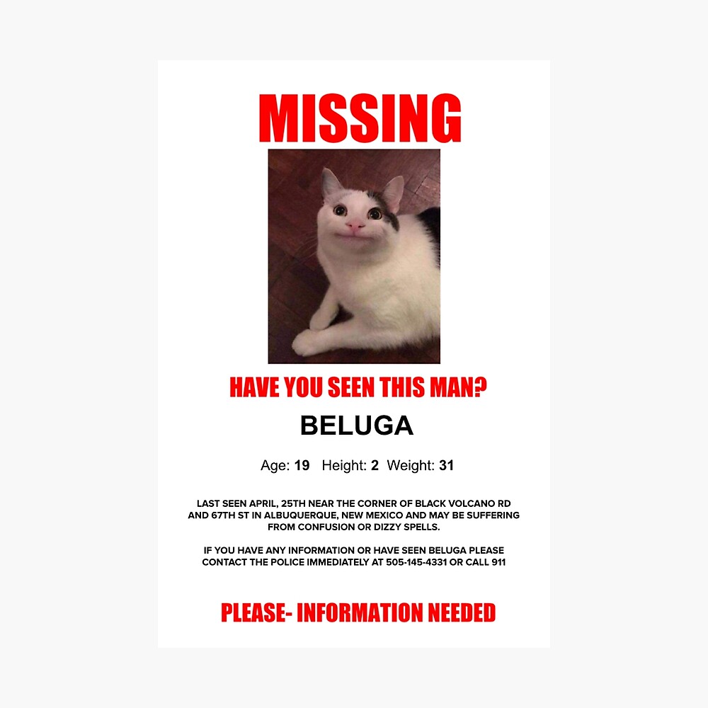 I have the beluga cat #meme #funny #memefunny #beluga #shorts #cat